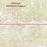 United States Geological Survey Bowery Creek, ID (2020, 24000-Scale) digital map