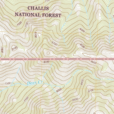 United States Geological Survey Bowery Creek, ID (2020, 24000-Scale) digital map