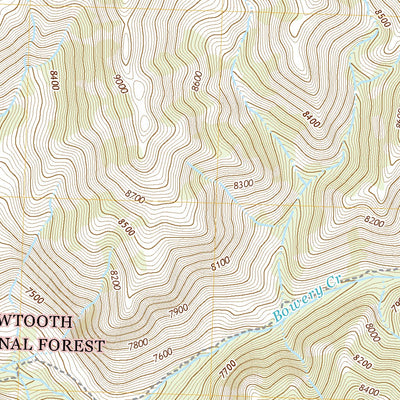 United States Geological Survey Bowery Creek, ID (2020, 24000-Scale) digital map