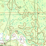 United States Geological Survey Boyd, FL (1954, 24000-Scale) digital map