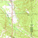 United States Geological Survey Boyne Falls, MI (1961, 62500-Scale) digital map