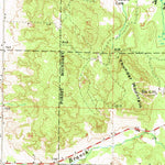 United States Geological Survey Boyne Falls, MI (1961, 62500-Scale) digital map