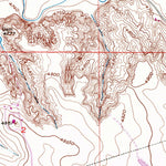 United States Geological Survey Bracewell, CO (1950, 24000-Scale) digital map