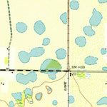 United States Geological Survey Bradenton, FL (1947, 24000-Scale) digital map