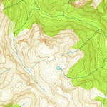 United States Geological Survey Bradfield Canal A-4, AK (1955, 63360-Scale) digital map