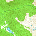 United States Geological Survey Bradfield Canal A-5, AK (1955, 63360-Scale) digital map