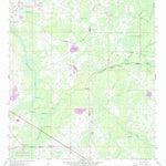 United States Geological Survey Branchborough, FL (1960, 24000-Scale) digital map