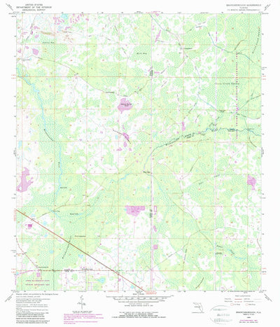 United States Geological Survey Branchborough, FL (1960, 24000-Scale) digital map