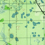 United States Geological Survey Brandon, FL (1944, 31680-Scale) digital map