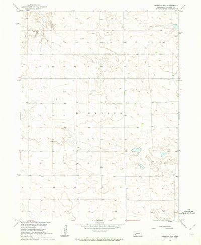 United States Geological Survey Brandon NW, NE (1961, 24000-Scale) digital map