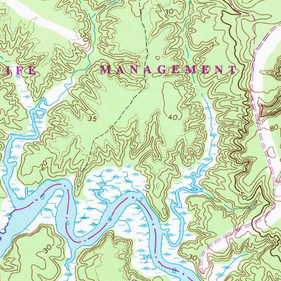 United States Geological Survey Brandon, VA (1965, 24000-Scale) digital map