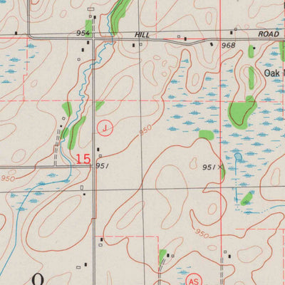 United States Geological Survey Brandon, WI (1980, 24000-Scale) digital map