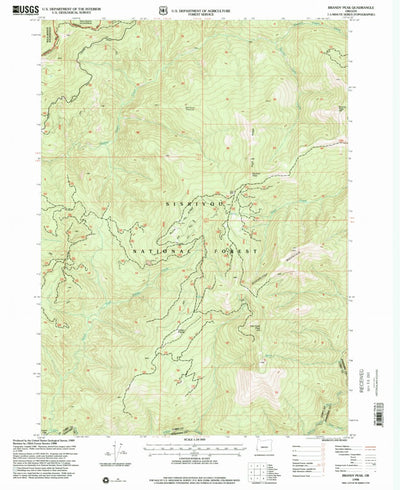 United States Geological Survey Brandy Peak, OR (1998, 24000-Scale) digital map