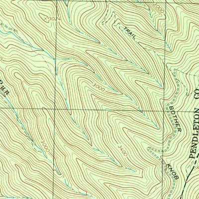 United States Geological Survey Brandywine, WV-VA (1999, 24000-Scale) digital map