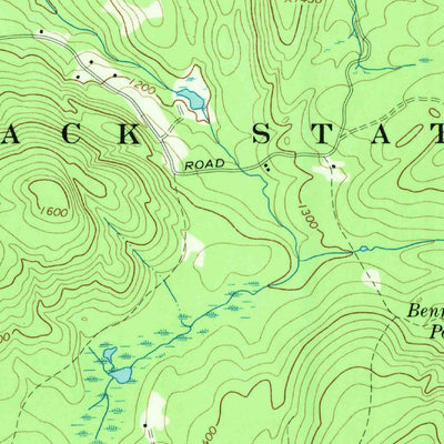 United States Geological Survey Brant Lake, NY (1966, 24000-Scale) digital map