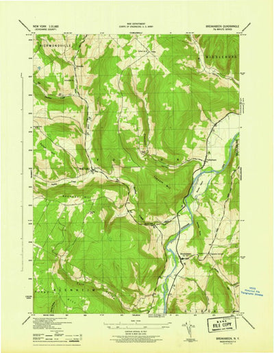 United States Geological Survey Breakabeen, NY (1946, 31680-Scale) digital map