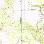 United States Geological Survey Brethren, MI (1982, 25000-Scale) digital map