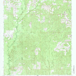 United States Geological Survey Brewer, MS (1963, 24000-Scale) digital map