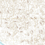 United States Geological Survey Brewster SE, NE (2021, 24000-Scale) digital map