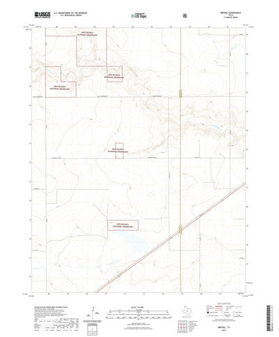 United States Geological Survey Brickel, TX (2022, 24000-Scale) digital map