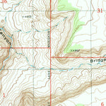 United States Geological Survey Bridger Point, UT-AZ (1981, 24000-Scale) digital map