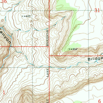 United States Geological Survey Bridger Point, UT-AZ (1981, 24000-Scale) digital map