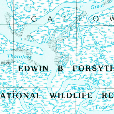 United States Geological Survey Brigantine Inlet, NJ (1989, 24000-Scale) digital map