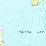 United States Geological Survey Brimley, MI (1951, 24000-Scale) digital map