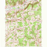 United States Geological Survey Brisben, NY (1949, 24000-Scale) digital map