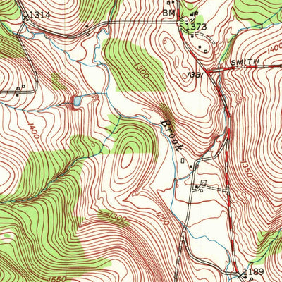 United States Geological Survey Brisben, NY (1949, 24000-Scale) digital map