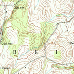 United States Geological Survey Bristol Center, NY (1951, 24000-Scale) digital map