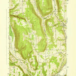 United States Geological Survey Bristol Springs, NY (1942, 31680-Scale) digital map