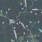 United States Geological Survey Bristow, IN (2010, 24000-Scale) digital map