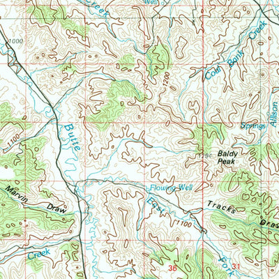 United States Geological Survey Broadus, MT-WY (1980, 100000-Scale) digital map