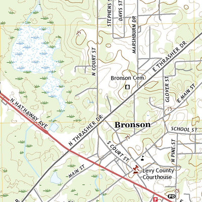 United States Geological Survey Bronson, FL (2021, 24000-Scale) digital map