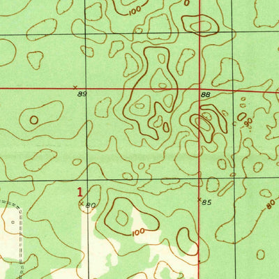United States Geological Survey Bronson SE, FL (1957, 25000-Scale) digital map