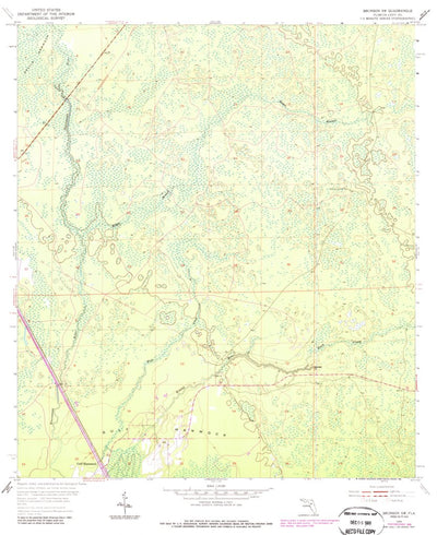 United States Geological Survey Bronson SW, FL (1954, 24000-Scale) digital map