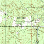 United States Geological Survey Brooklyn, AL (1982, 24000-Scale) digital map