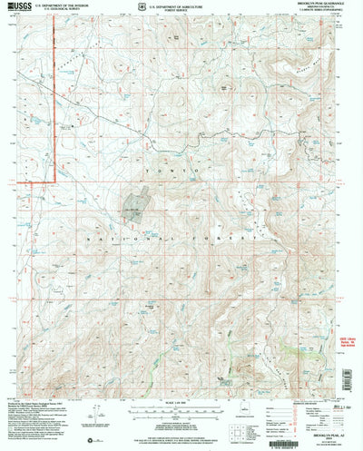 United States Geological Survey Brooklyn Peak, AZ (2004, 24000-Scale) digital map
