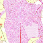 United States Geological Survey Brooksville, FL (1954, 24000-Scale) digital map