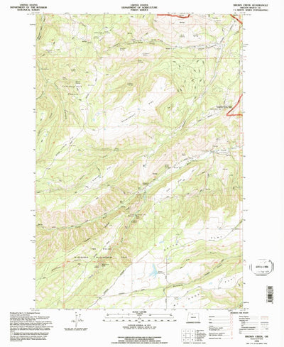 United States Geological Survey Brown Creek, OR (1994, 24000-Scale) digital map