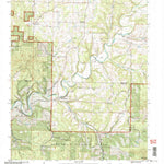 United States Geological Survey Brownbranch, MO (2004, 24000-Scale) digital map