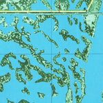 United States Geological Survey Browns Lake, LA (1982, 24000-Scale) digital map