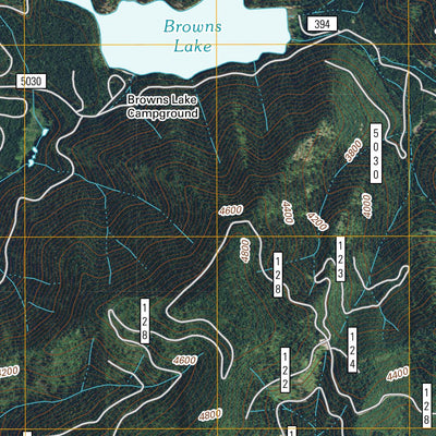 United States Geological Survey Browns Lake, WA (2011, 24000-Scale) digital map