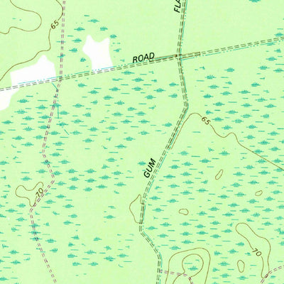United States Geological Survey Browntown, GA (1978, 24000-Scale) digital map