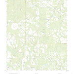 United States Geological Survey Broxton NE, GA (2020, 24000-Scale) digital map