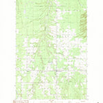 United States Geological Survey Bruce Crossing, MI (1982, 24000-Scale) digital map