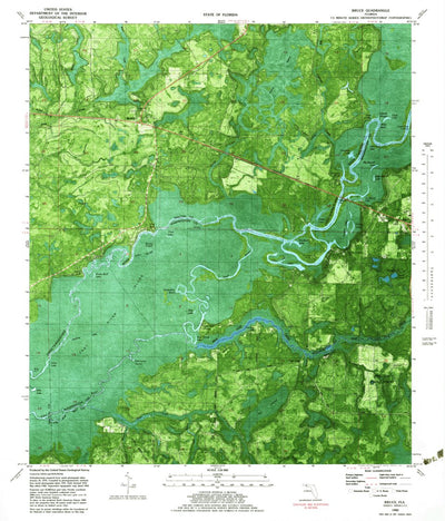 United States Geological Survey Bruce, FL (1982, 24000-Scale) digital map