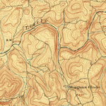 United States Geological Survey Bruceton Mills, WV-PA (1904, 62500-Scale) digital map