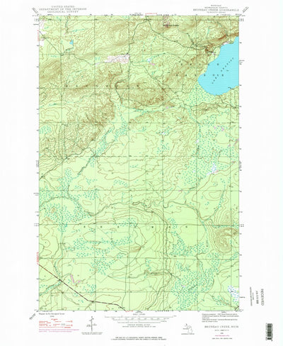 United States Geological Survey Bruneau Creek, MI (1946, 24000-Scale) digital map